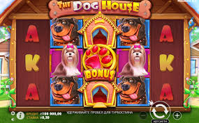 도그하우스 무료체험 새로운 게임 경험의 시작